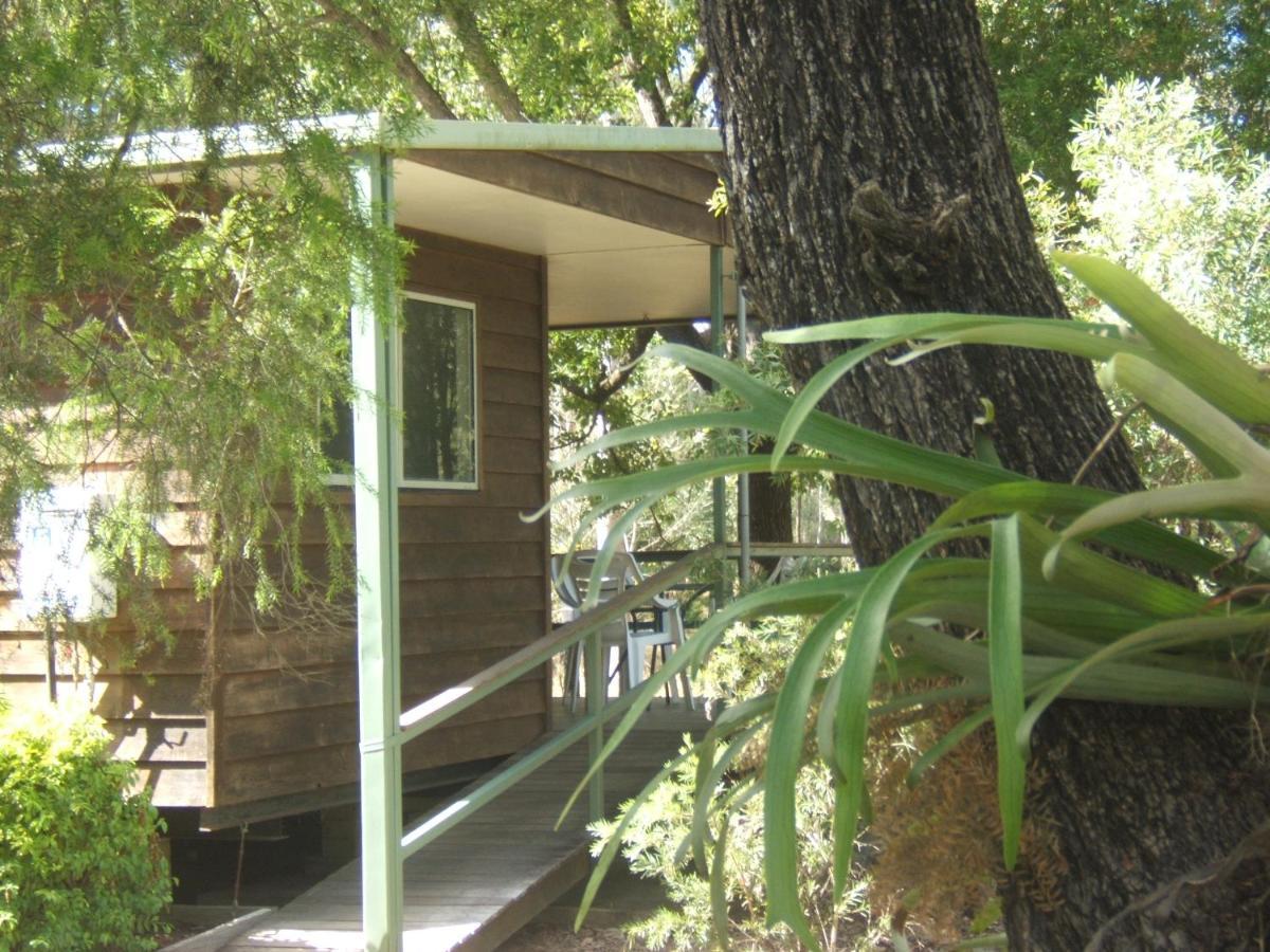 Scenic Rim Motel Aratula Dış mekan fotoğraf